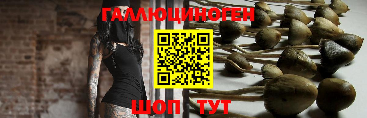 Галлюциногенные грибы Psilocybine cubensis  Вход с VPN  магазин  наркотиков  Черкесск 